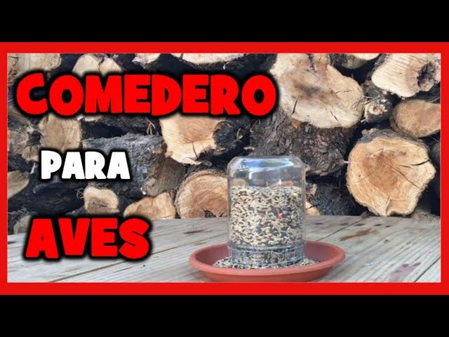 4 COMEDEROS para pájaros perfectos para el jardín (recopilatorio) -  Jardinatis 