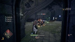 HOW TO PERFECT GUARD COUNTER/PARRY VALKYRIE ELYSIUM