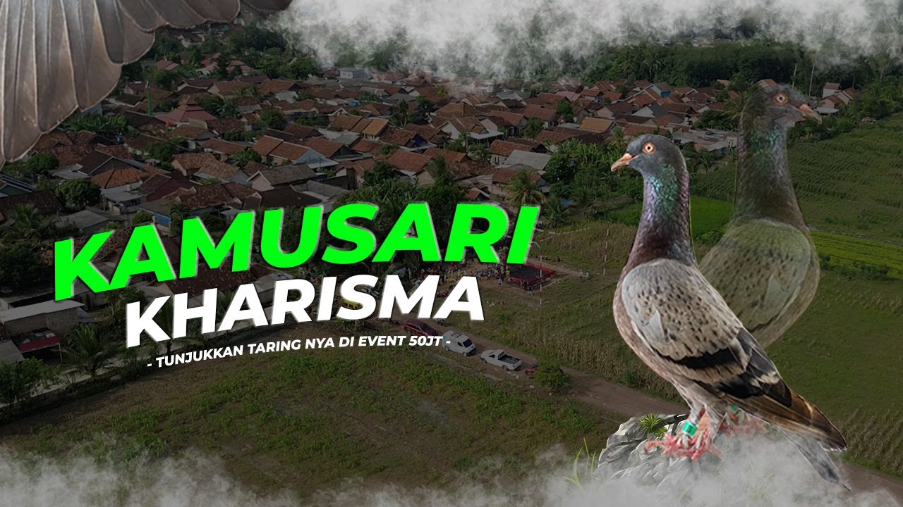 FINAL TAK TERDUGA!! EVENT 50JT JALASETRA CUP II | LAPKOL WAY GALIH