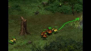 National Geographic: Great Migrations Gameplay