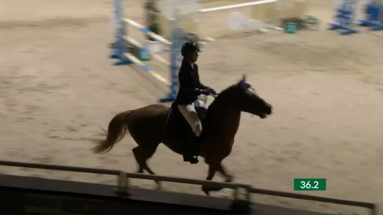 RED STAR OPTIMUS  - 1st place Aachen Jumping Jungstars Pony Championship 2023 with Naomi Himmelreich