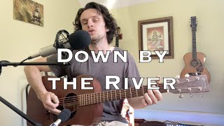 Neil Young - Down by the River (acoustic cover)