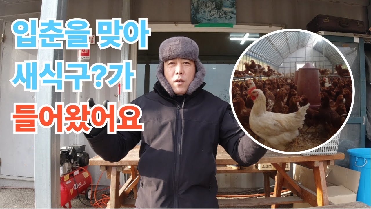 입춘을 맞아 새 식구가? 들어왔어요!