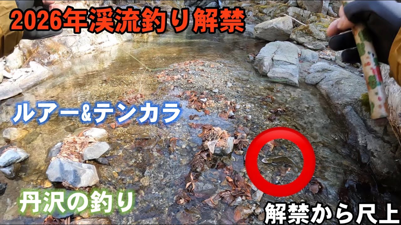渓流釣り2026解禁〜テンカラとルアーで解禁