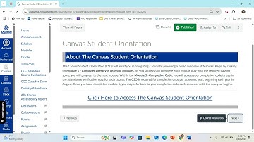 Canvas Navigation Video