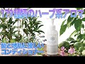天然アロマで髪も心も整える!ミネランスコンディショナーのご紹介【ノンシリコン】