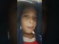 lupa intro