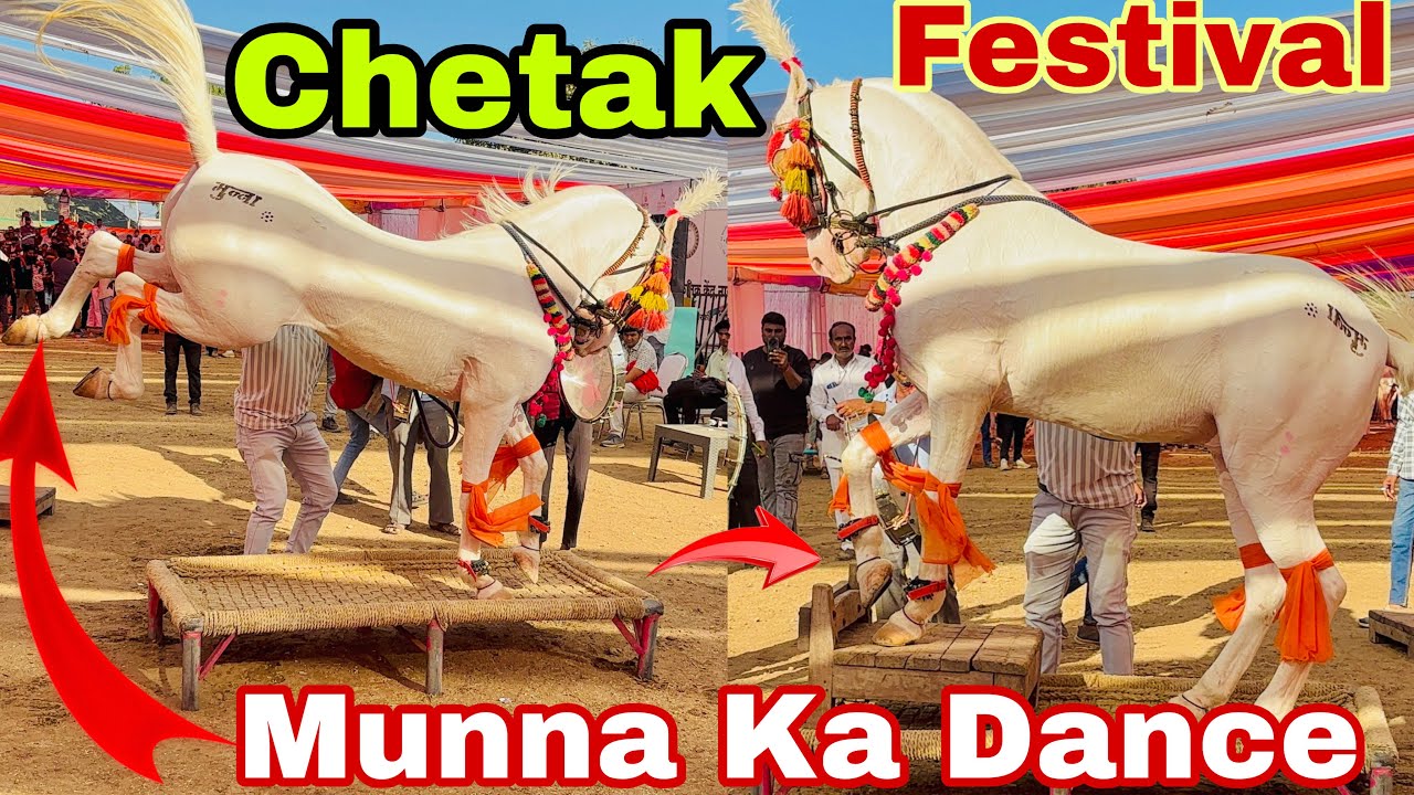 Sarang Kheda Mela 2025 dance competition| मुन्ना घोड़ा का डांस देखकर सब रह गए हैरान |Chetak festival