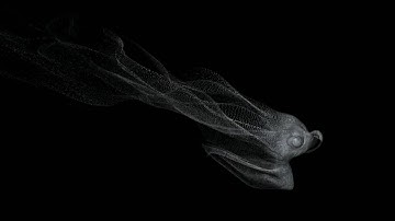 Disintegration... Again