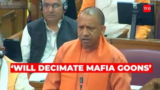 CM Yogi Adityanath blames SP for sheltering Atiq Ahmed, says will finish off mafia from state screenshot 4