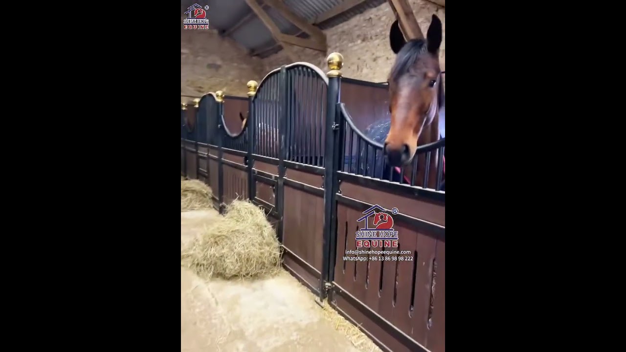 Premium Horse Stables Installed in France – Happy Horses, Happy Owner! 