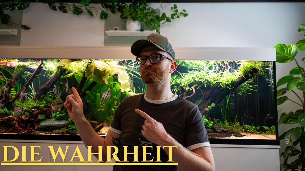 Die Wahrheit über mein 1500L Aquarium (nach Pachi’s Besuch)