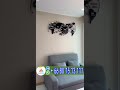Недвижимость в Таиланде, построенное жилье в рассрочку без % на 24 месяца #shorts