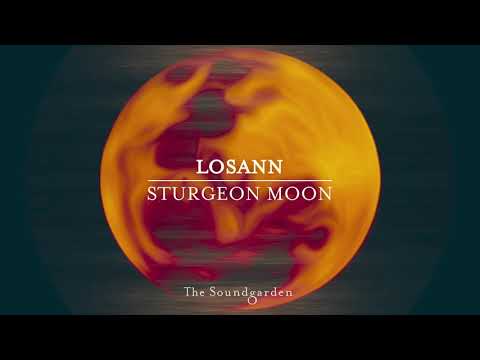 Losann - Sturgeon