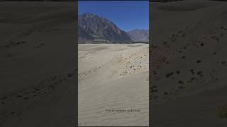 Cold Desert Sarfaranga #sarfaranga #desertbeat #shigar #shigarvalley #skardudiaries #gilgitpakistan