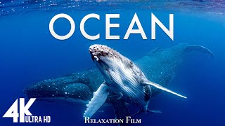 The Ocean (4K UltraHD) - Relaxation Film - Peaceful Relaxing Music - 4k Video UltraHD
