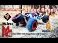 WLtoys Speed Rage 124028 4WD Buggy – Full Review &amp; High-Speed Test!