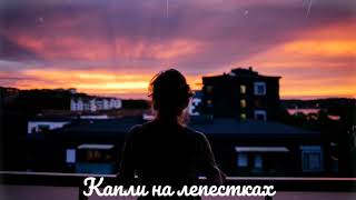 Jamaru-Капли на лепестках