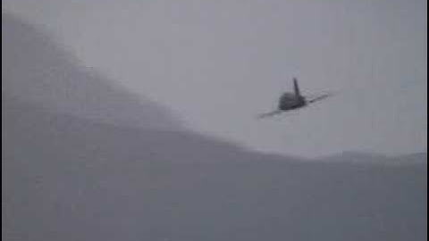 hawk in the bwlch area of the "Macc loop"