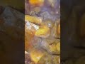 Duck Recipe