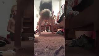 Hand Stand With Jump