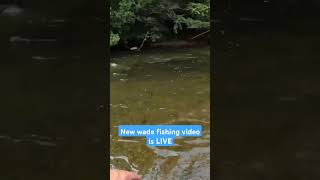 Floating line streamer techniques. Some tips to help you. #flyfishing #riverfishing #troutfishing