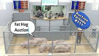 Fat Hog Auction On 03/24/2026