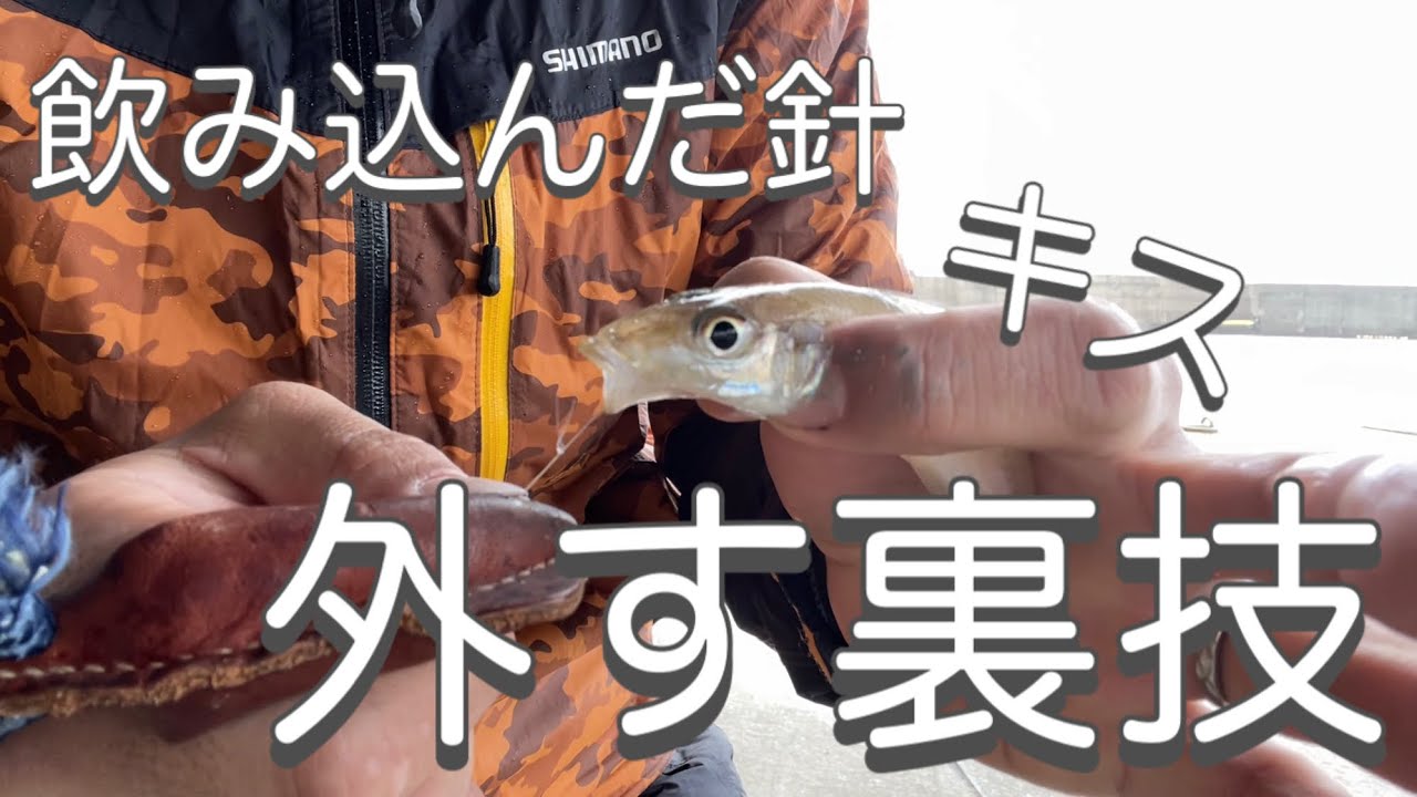 キス釣り中に針を飲み込んだ鱚から道具無しで針を外す裏技 Youtube キス釣り中に針を飲み込んだ鱚から道具無しで針を外す裏技 Youtube
