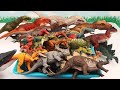 Only jurassic world dinosaurs box trex indominus stegosaurus
