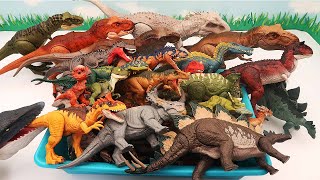 ONLY Jurassic World Dinosaurs BOX! T-Rex, Indominus, Stegosaurus