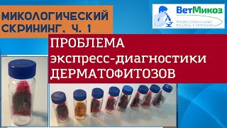 видео: Микологический скрининг. Проблема экспресс-диагностики дерматофитозов (Р.С. Овчинников, 2019 часть1) картинка: Микологический скрининг. Проблема экспресс-диагностики дерматофитозов (Р.С. Овчинников, 2019 часть1)