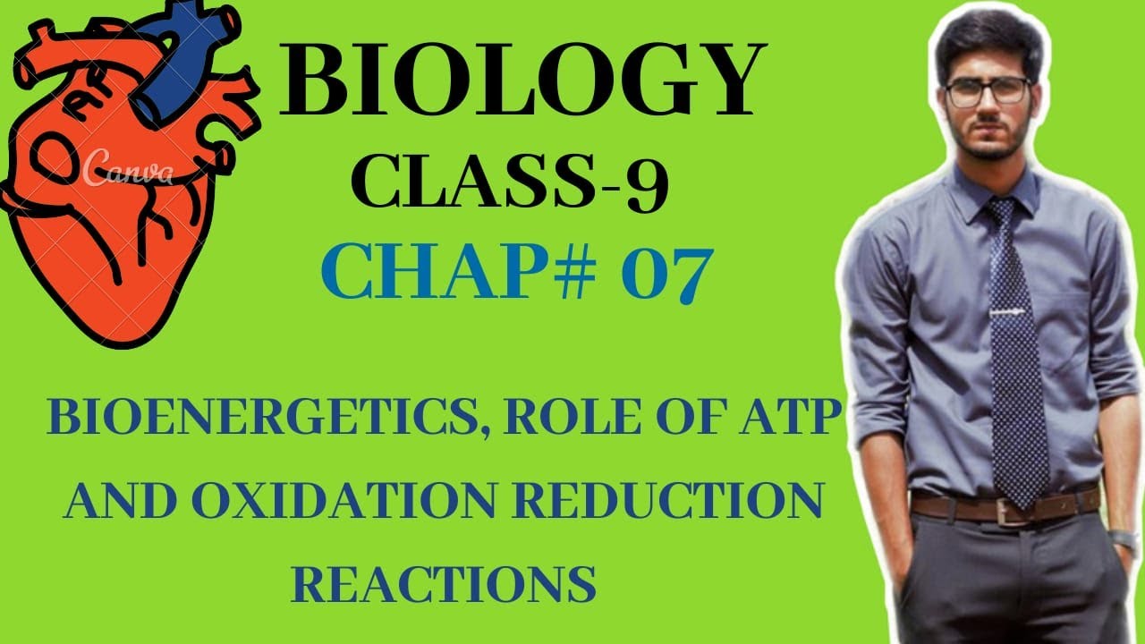 BIOENERGETICS AND ROLE OF ATP| OXIDATION-REDUCTION REACTIONS | CHAPTER 7 |CLASS 9