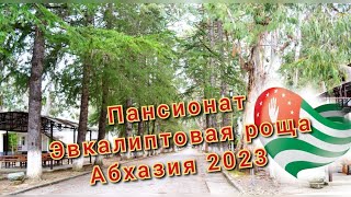 Пансионат- Эвкалиптовая роща. Абхазия. Октябрь 2023.🌱👍Море, источники, эквалипты. #абхазия2023.9ч.