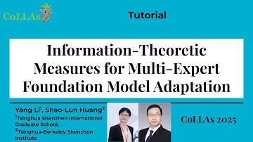 Inf. Theoretic Measures for Multi Expert FM Adaptation - Yang Li, Shao Lun Huang - CoLLAs 2025
