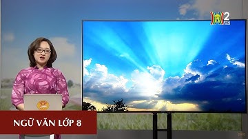 MÔN NGỮ VĂN - LỚP 8 | NGẮM TRĂNG - ĐI ĐƯỜNG | 10H00 NGÀY 04.04.2020 | HANOITV