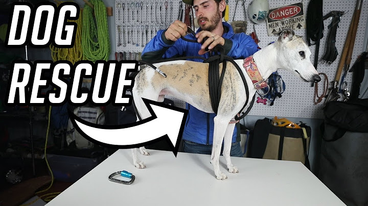 DIY Emergency Rescue Dog Harness
