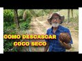 Como Descascar Coco seco