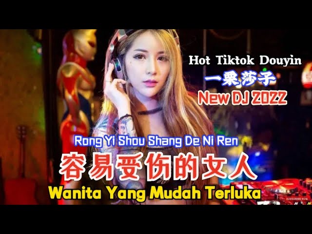 容易受伤的女人 Rong Yi Shou Shang De Ni Ren【Wanita Yang Mudah Terluka】一栗莎子 New DJ抖音版 2022 - (Hot Remix) class=