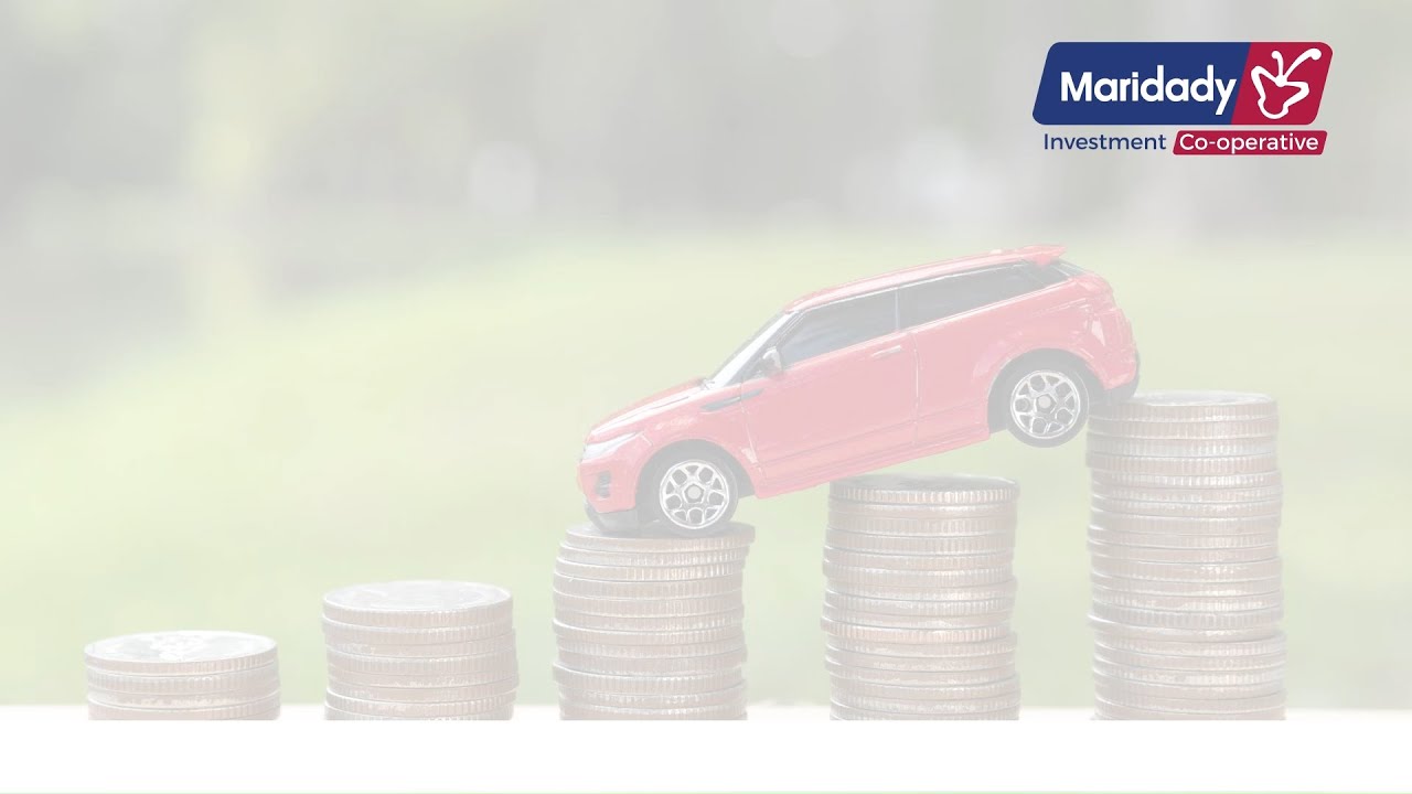 MARIDADY SMART CAB INVESTMENT FOR YOU