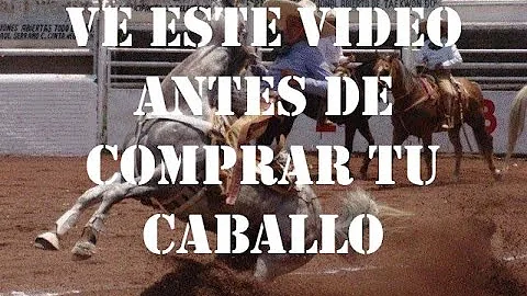 ¿Qué no hacer a caballo?