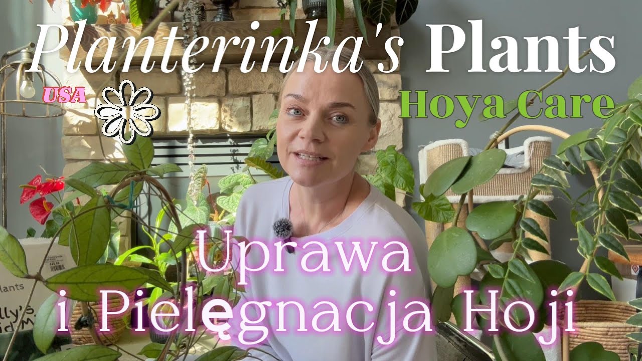 Hoya Care | Uprawa i pielęgnacja Hoji