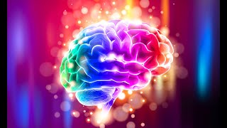 Neurosurgery of Base of Brain | Approach | Definitive Procedures | Repair | Modifier 62| Co-surgeons