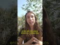 ASCENDENT CAPRICORN - Astrologia en Català