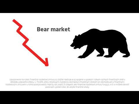 CapitalPanda | CapitalPanda | Bull&Bear Market (slovník pojmov)