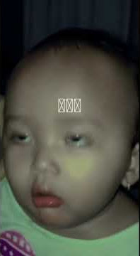 story wa balasan || scopy ni boss