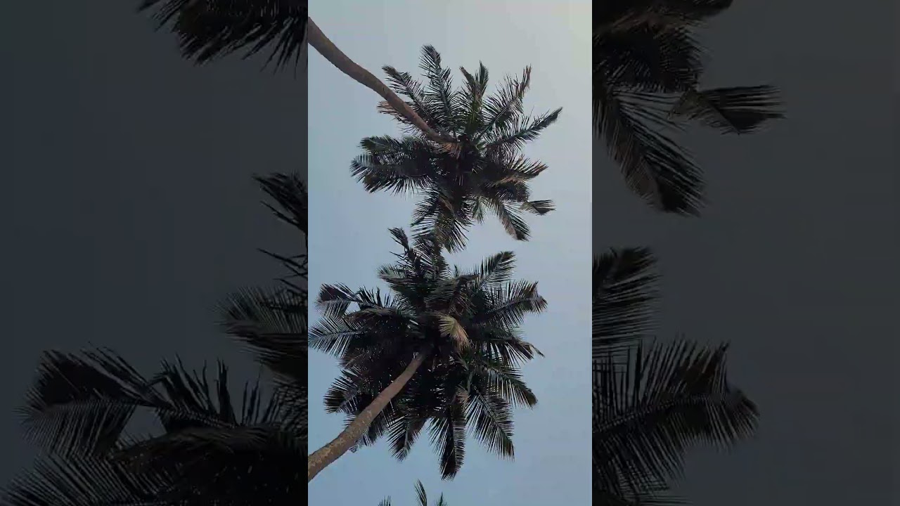 Enroute to Goa - Aanya Umraode