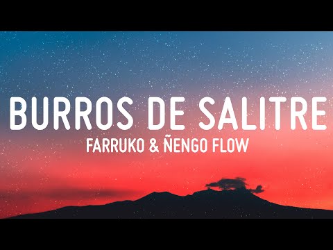 Burros De Salitre - Farruko & Ñengo Flow (LETRA)