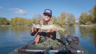 🎬 Pêche aux leurres dans la Drôme – Ouverture Carnassier 2026 🎣🔥
