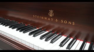 What Steinway Doesn't Want You To Know (SteinWas)