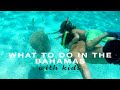 BAHAMAS WITH KIDS BAT CAVE WILD TURTLES ATLANTIS MORE